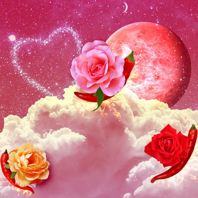 Astrologer Susan Miller Reveals These Signs Will Have a Spicy V-Day Astrologer Susan Miller Reveals These Signs Will Have a Spicy V-Day